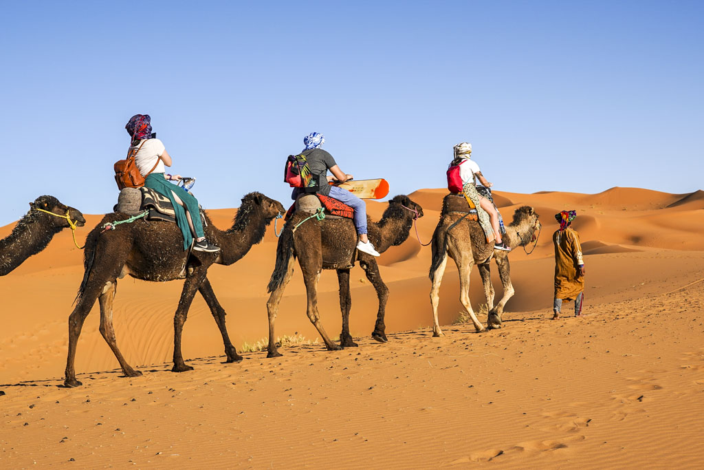 merzouga Trekking à dos de dromadaire